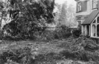 Storm damage in 1987