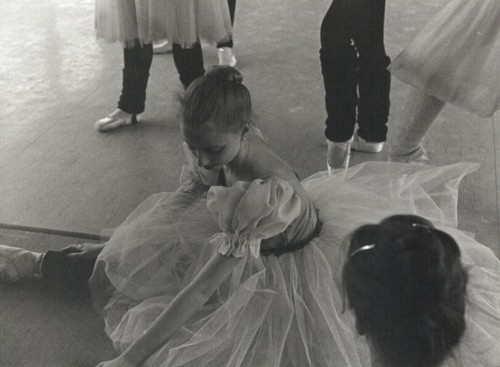 Jo Jewkes Collection